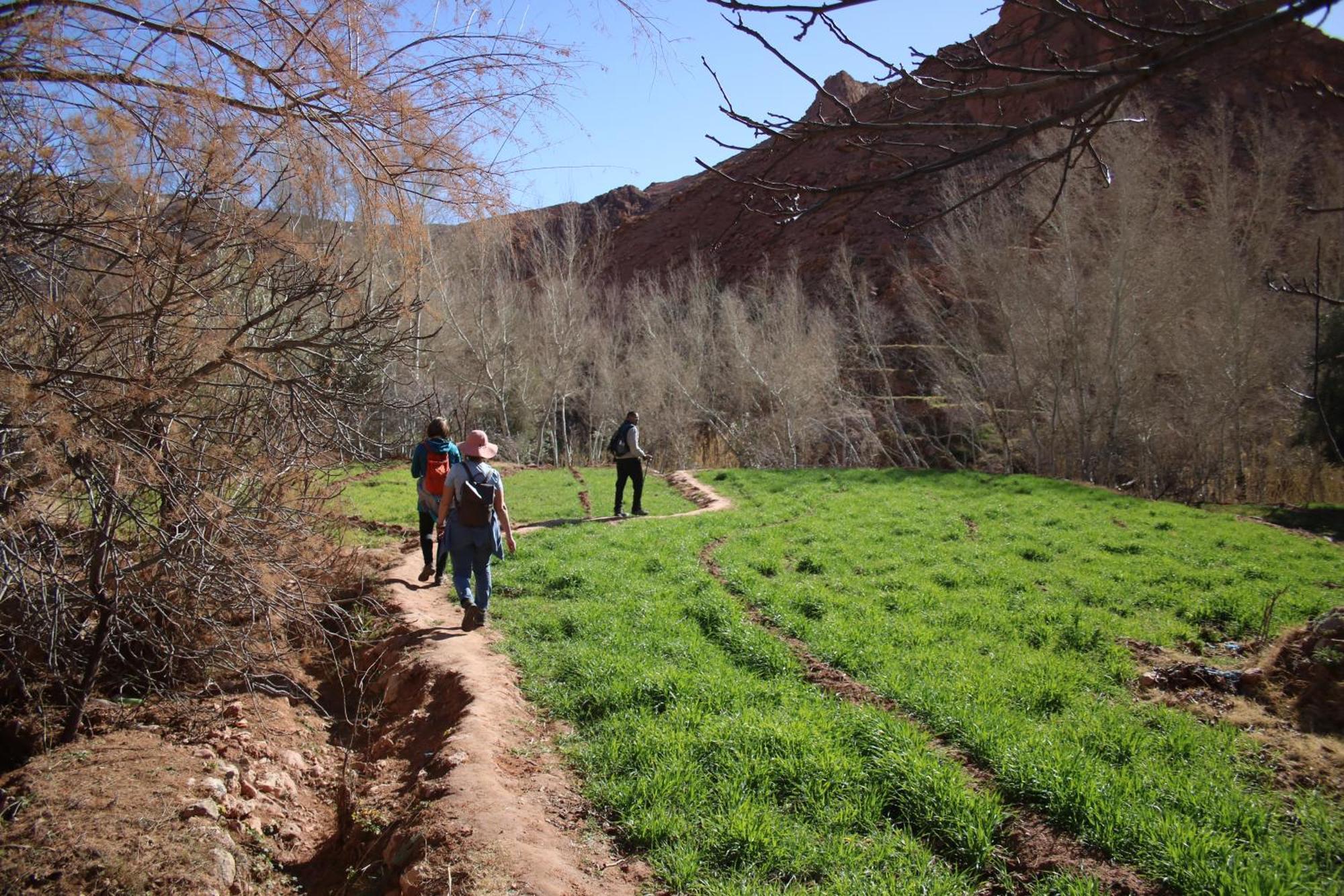 Bed and Breakfast Dar Jnan Tiouira Dades Tamellalt  Экстерьер фото